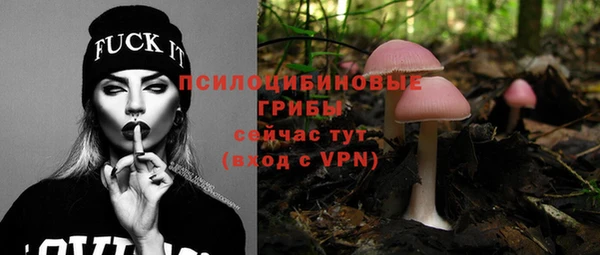 СК Горнозаводск