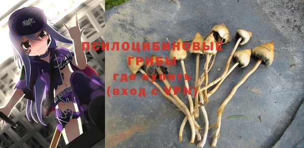 прущая мука Горняк