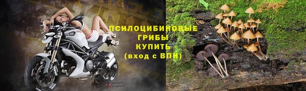 прущая мука Горняк