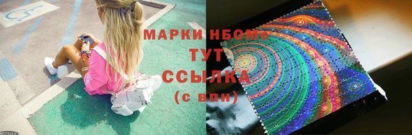 СК Горнозаводск