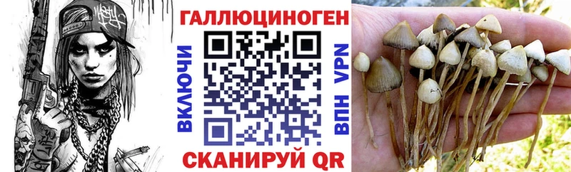 Купить  Павловский Посад  Псилоцибиновые грибы Magic Shrooms 